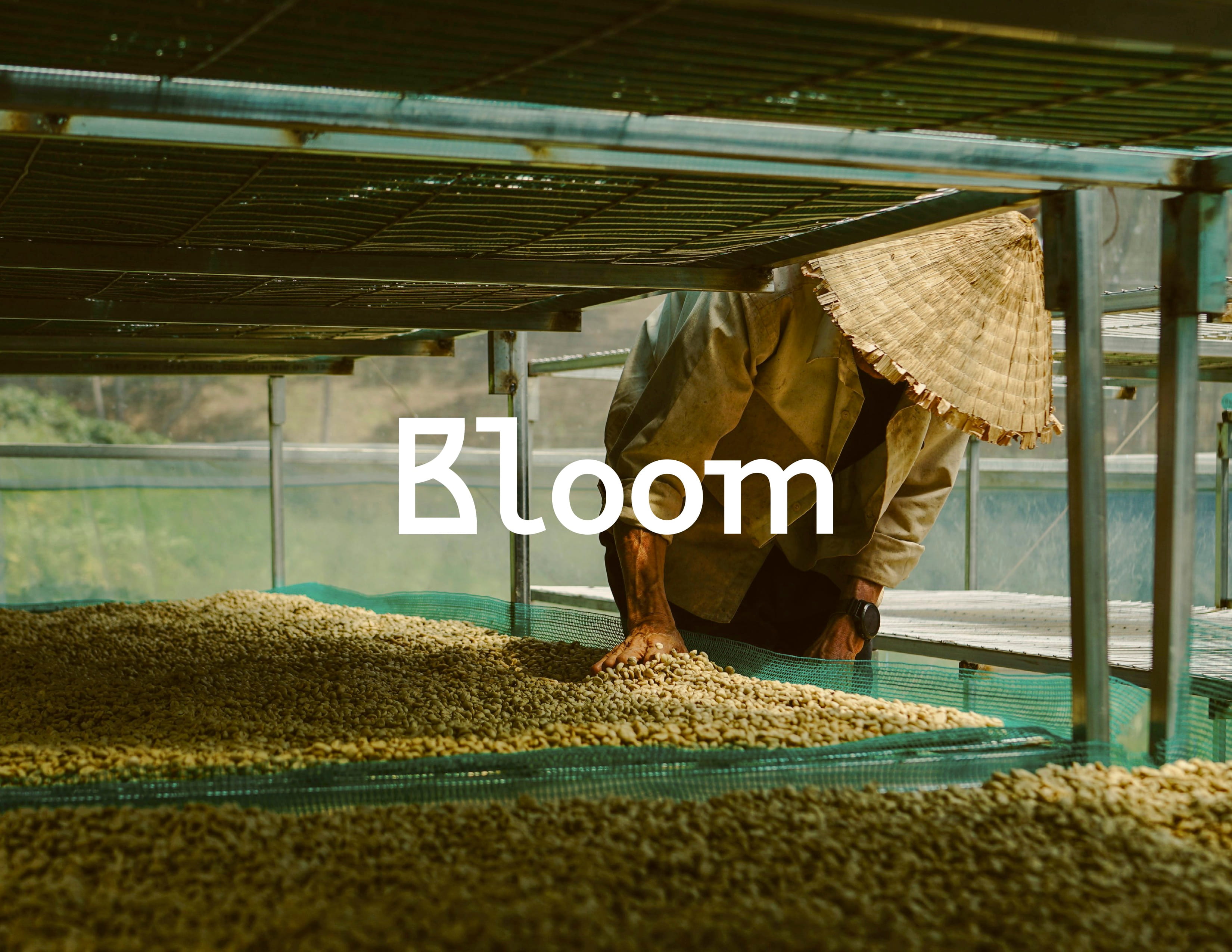 A worker drying coffee beans with the word 'bloom' overlaid on top.