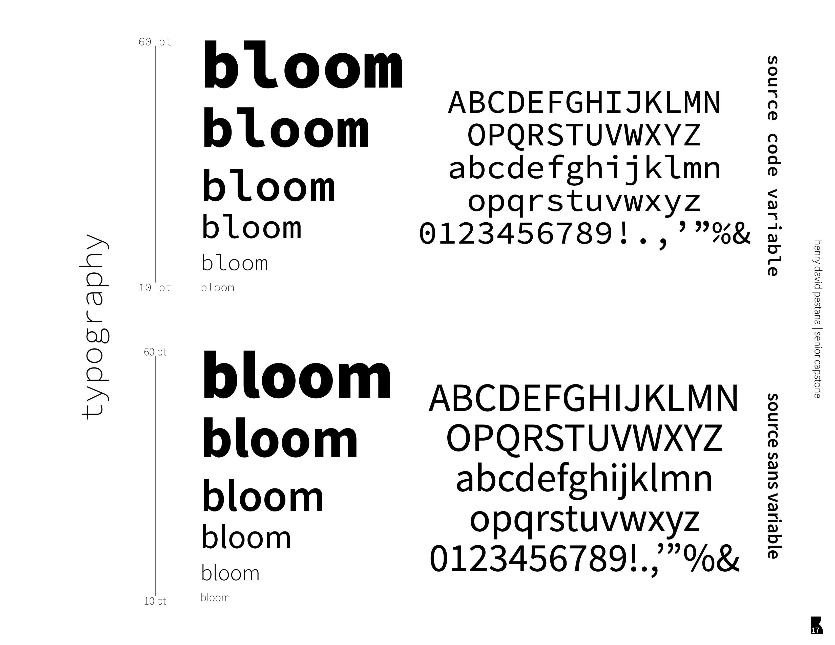 Typography for the brand 'bloom'.
